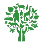 caring-for-creation